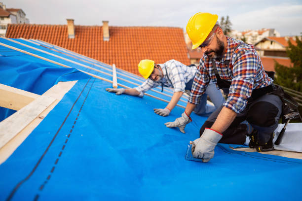 Professional Roofing Contractor in Jasper, GA